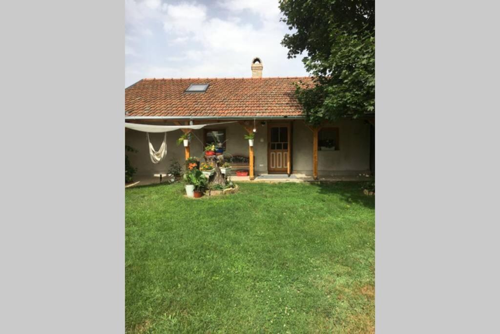 Apartamento Tanya Anna Csengele Exterior foto